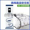 新能源電動(dòng)汽車(chē)直流充電樁快充380V快速充電站通用防雨