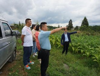 “近零碳”示范園區(qū)緣何落地難？