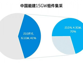 4.3GW！超過20家企業(yè)競逐210 N組件投標