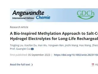 柔性鈉離子電池容量及穩(wěn)定性獲提升！新技術(shù)可防止電解質(zhì)鹽析……